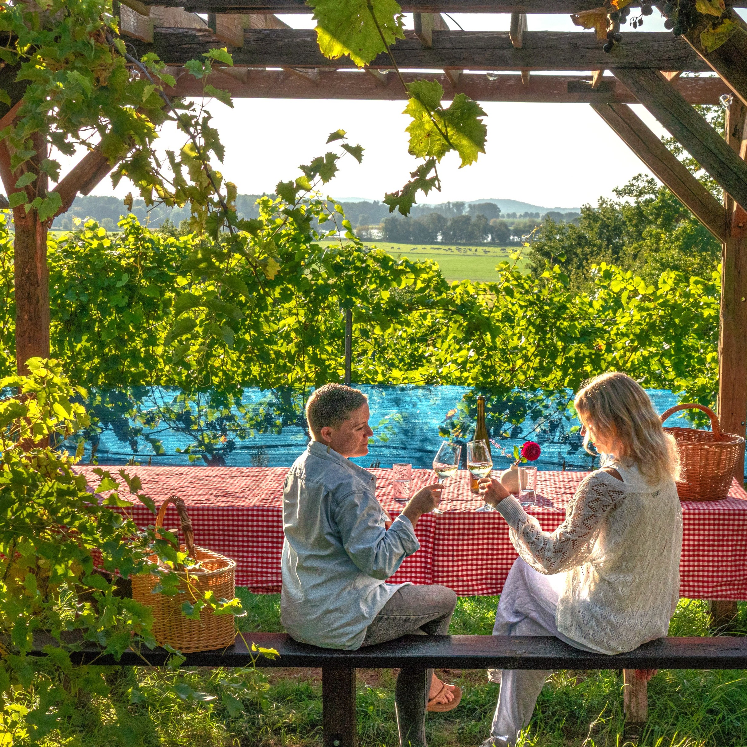 Bioweingut Swillus
