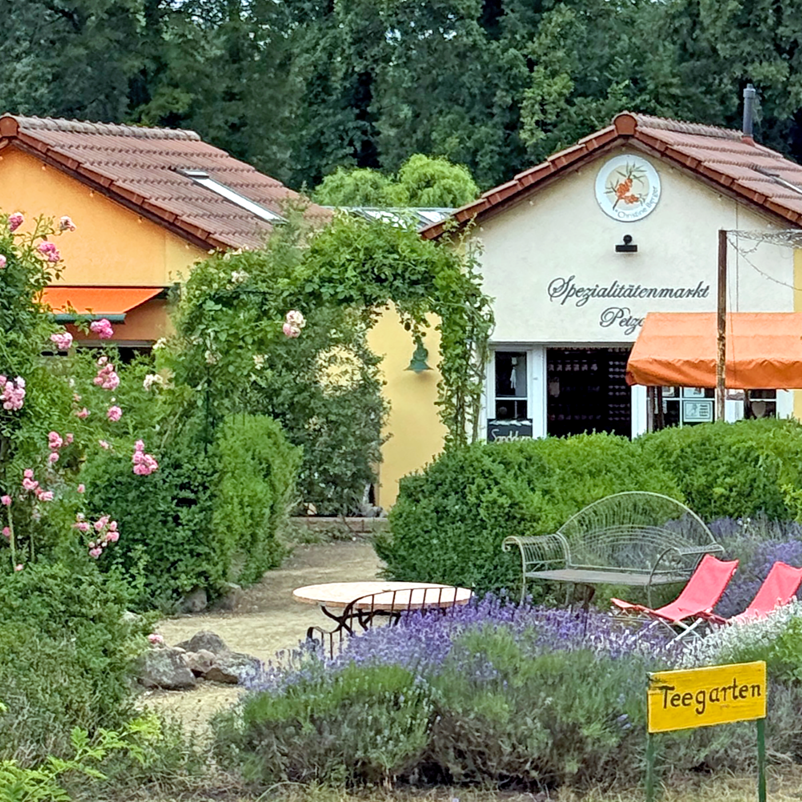 Sanddorn-Garten Petzow